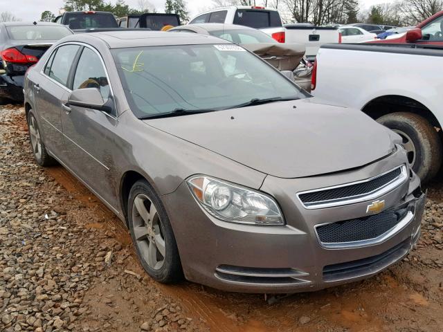 1G1ZC5E14BF352066 - 2011 CHEVROLET MALIBU 1LT თაფლისფერი ფოტო 1