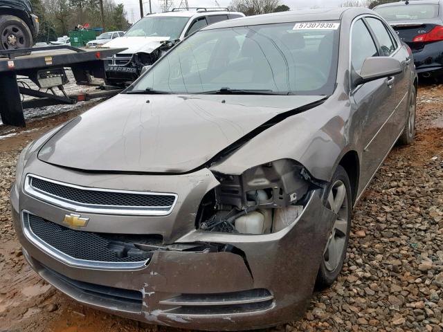 1G1ZC5E14BF352066 - 2011 CHEVROLET MALIBU 1LT თაფლისფერი ფოტო 2
