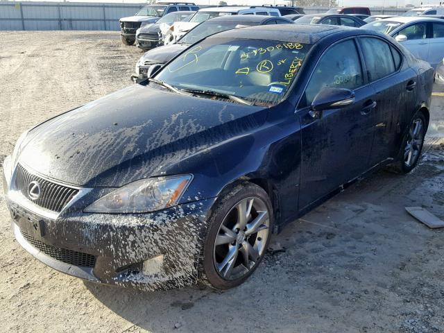 JTHBF5C25A5111258 - 2010 LEXUS IS 250 BLUE photo 2