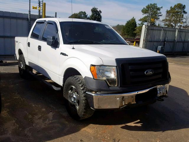 1FTEW1E84AFA07797 - 2010 FORD F150 SUPER WHITE photo 1