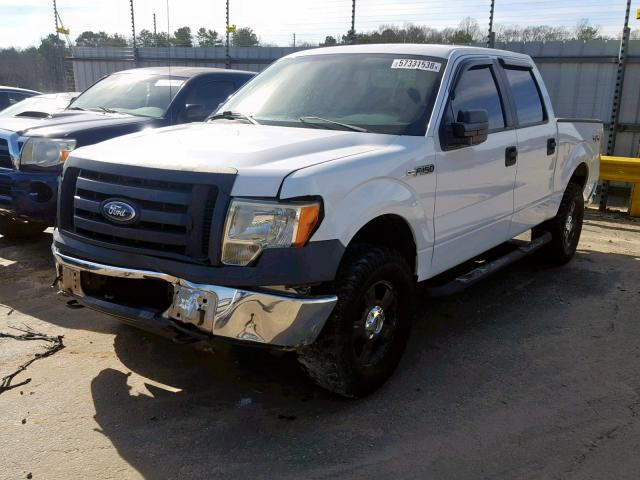 1FTEW1E84AFA07797 - 2010 FORD F150 SUPER WHITE photo 2