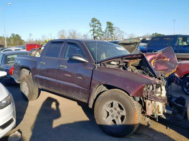 1D7HW48N35S316700 - 2005 DODGE DAKOTA QUA BURGUNDY photo 1