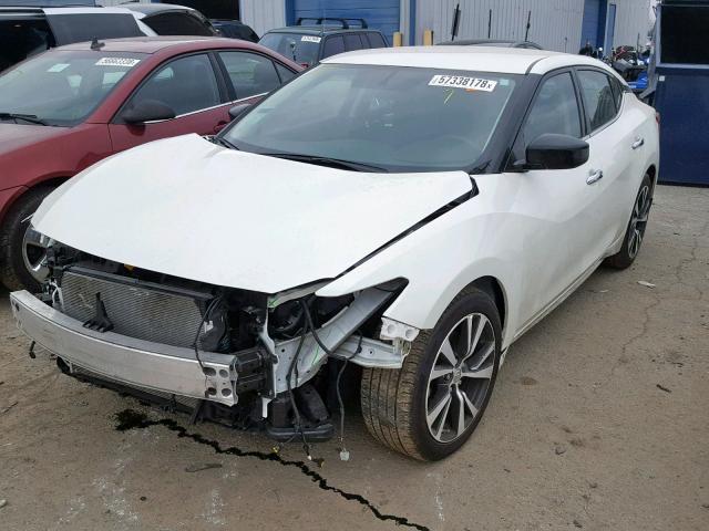 1N4AA6AP4HC404161 - 2017 NISSAN MAXIMA 3.5 WHITE photo 2