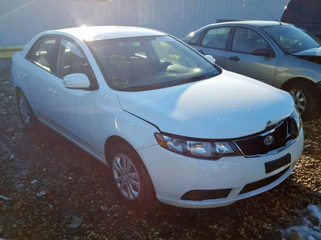 KNAFU4A21A5100812 - 2010 KIA FORTE EX WHITE photo 1