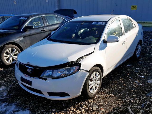 KNAFU4A21A5100812 - 2010 KIA FORTE EX WHITE photo 2