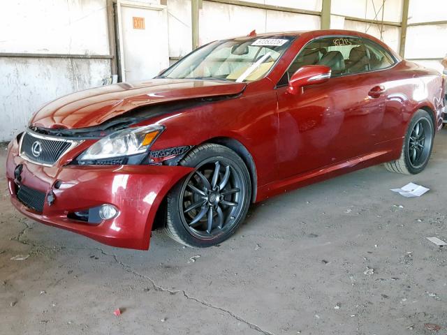 JTHFE2C26C2508226 - 2012 LEXUS IS 350 RED photo 2