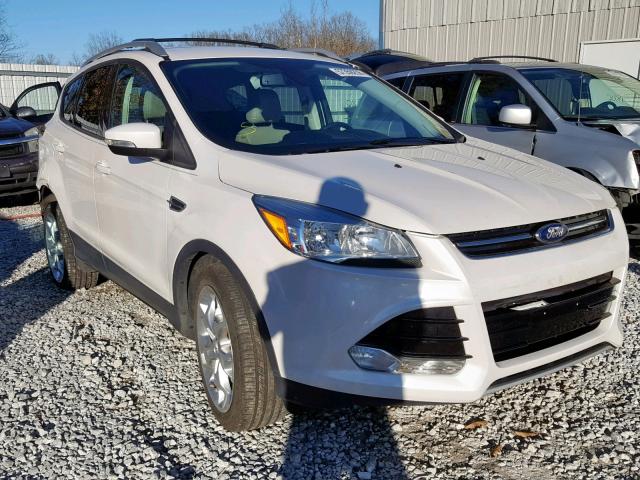 1FMCU0JX5EUA58145 - 2014 FORD ESCAPE TIT WHITE photo 1