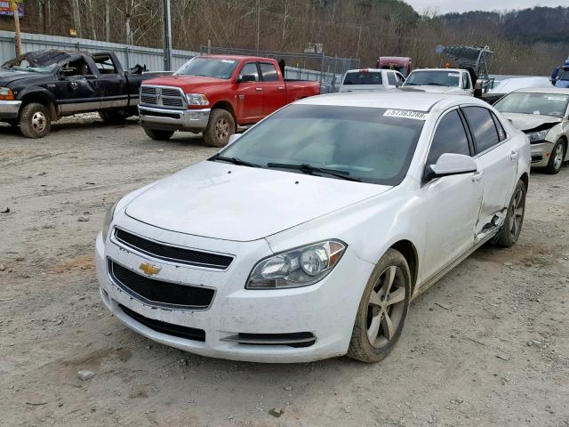 1G1ZC5EU7BF121236 - 2011 CHEVROLET MALIBU 1LT თეთრი ფოტო 2