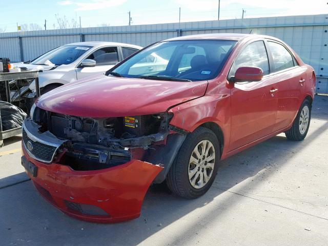 KNAFU4A28D5648102 - 2013 KIA FORTE EX RED photo 2