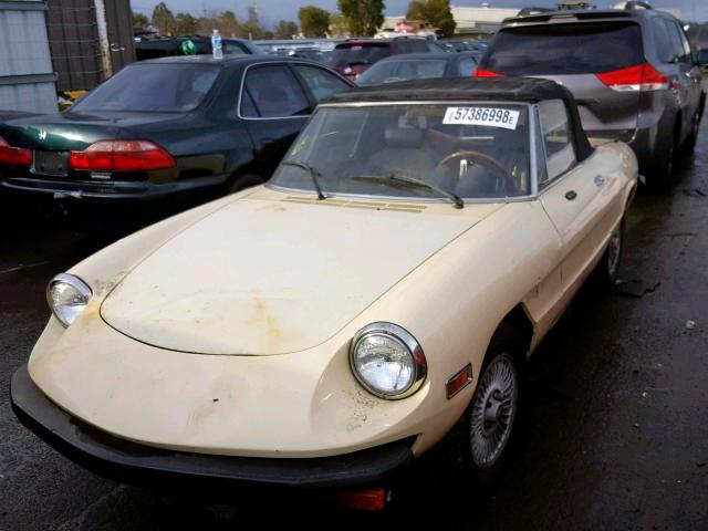 AR115410002660 - 1978 ALFA ROMEO SPIDER CREAM photo 2