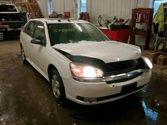 1G1ZU64824F202039 - 2004 CHEVROLET MALIBU MAX თეთრი ფოტო 1