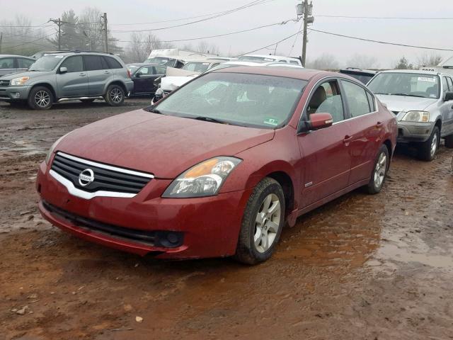 1N4CL21EX8C229988 - 2008 NISSAN ALTIMA HYB RED photo 2