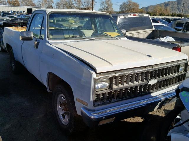 1GCGC24J3CF338482 - 1982 CHEVROLET C20 GRAY photo 1