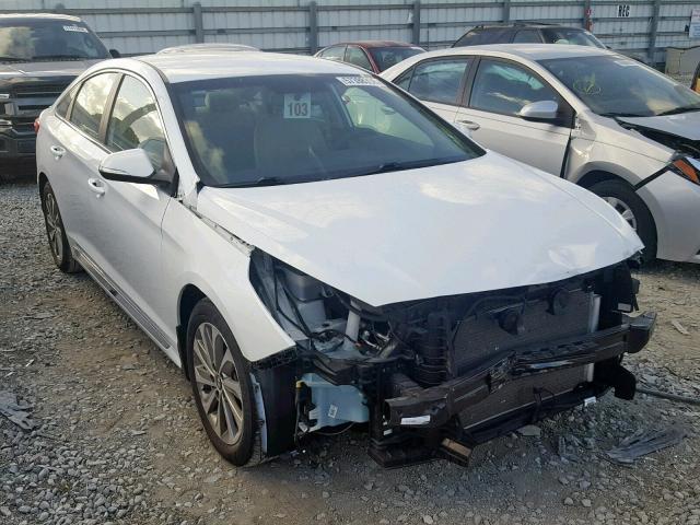 5NPE34AF8GH405138 - 2016 HYUNDAI SONATA SPO WHITE photo 1