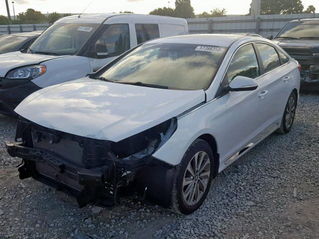 5NPE34AF8GH405138 - 2016 HYUNDAI SONATA SPO WHITE photo 2