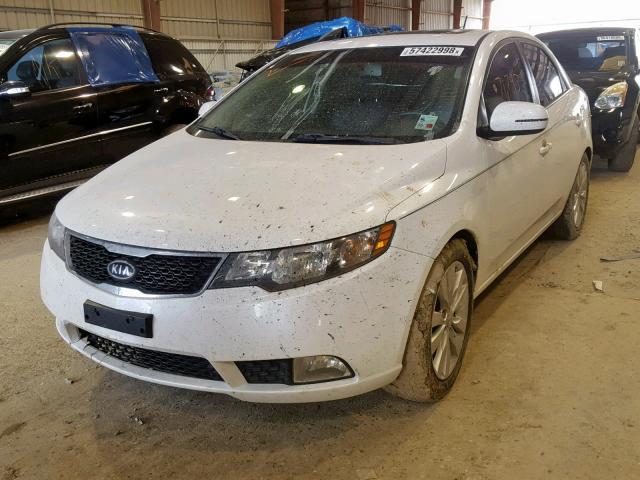 KNAFW4A31C5498271 - 2012 KIA FORTE SX WHITE photo 2