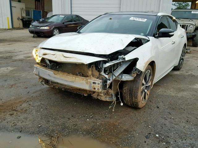 1N4AA6AP3GC383415 - 2016 NISSAN MAXIMA 3.5 WHITE photo 2