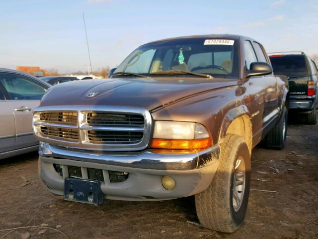 1B7GG2AN01S109161 - 2001 DODGE DAKOTA QUA BROWN photo 2