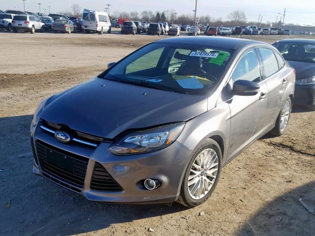 1FADP3J21EL236960 - 2014 FORD FOCUS TITA GRAY photo 2