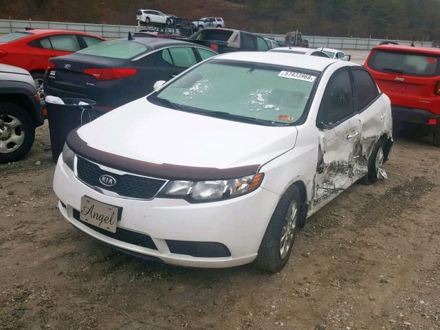 KNAFU4A21D5724629 - 2013 KIA FORTE EX WHITE photo 2