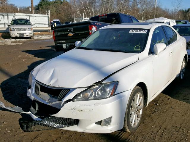 JTHCF5C23A5042459 - 2010 LEXUS IS 250 WHITE photo 1