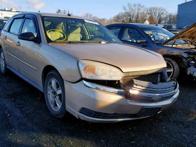 1G1ZT64875F133997 - 2005 CHEVROLET MALIBU MAX 棕色 照片 1