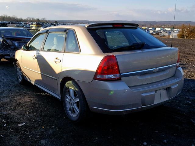 1G1ZT64875F133997 - 2005 CHEVROLET MALIBU MAX 棕色 照片 3