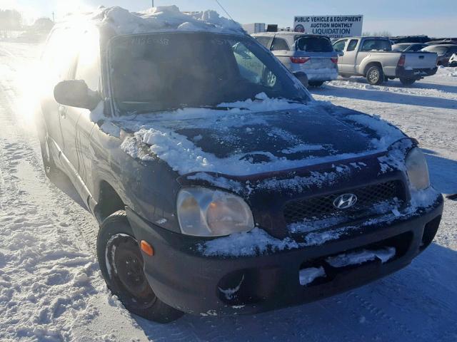 KM8SB73D94U646562 - 2004 HYUNDAI SANTA FE GRAY photo 1