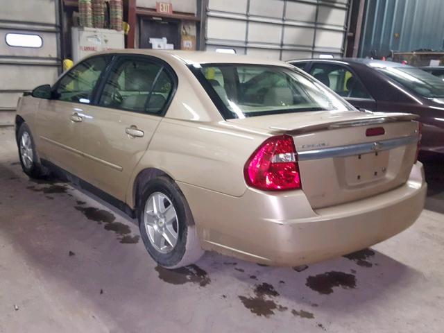 1G1ZT54835F287715 - 2005 CHEVROLET MALIBU LS GOLD photo 3