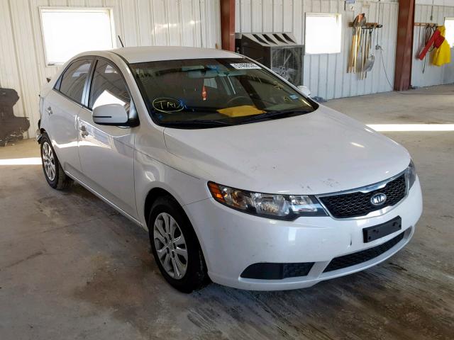 KNAFU4A25B5445293 - 2011 KIA FORTE EX WHITE photo 1