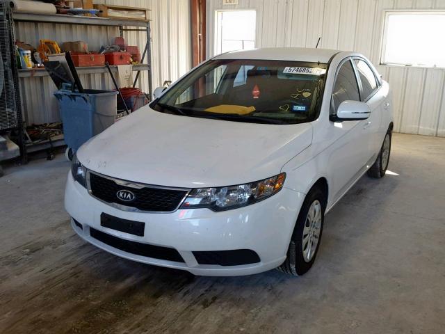 KNAFU4A25B5445293 - 2011 KIA FORTE EX WHITE photo 2