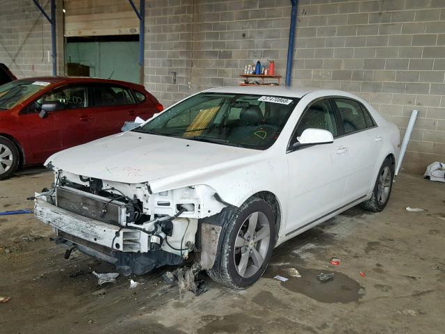 1G1ZC5EU8BF390832 - 2011 CHEVROLET MALIBU 1LT თეთრი ფოტო 2