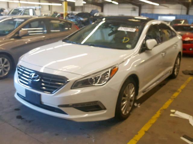 5NPE34AF9FH245639 - 2015 HYUNDAI SONATA SPO WHITE photo 2