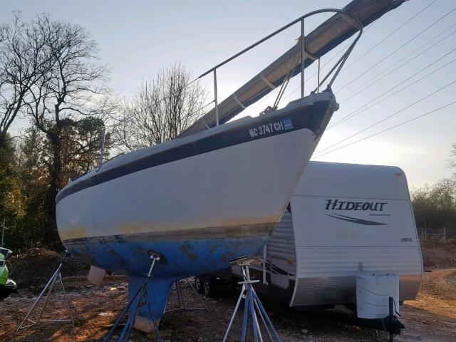 CAB701481075 - 1975 SAIL BOAT WHITE photo 1