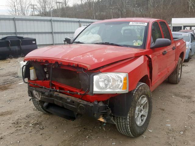 1D7HW48N65S326606 - 2005 DODGE DAKOTA QUA RED photo 2