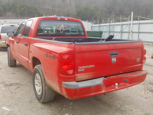 1D7HW48N65S326606 - 2005 DODGE DAKOTA QUA RED photo 3