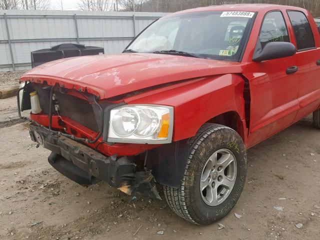 1D7HW48N65S326606 - 2005 DODGE DAKOTA QUA RED photo 9