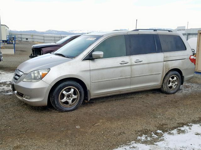 5FNRL38845B001865 - 2005 HONDA ODYSSEY TO SILVER photo 9