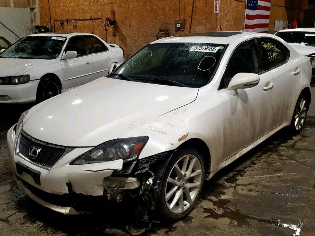 JTHCF5C21B5051209 - 2011 LEXUS IS 250 WHITE photo 2