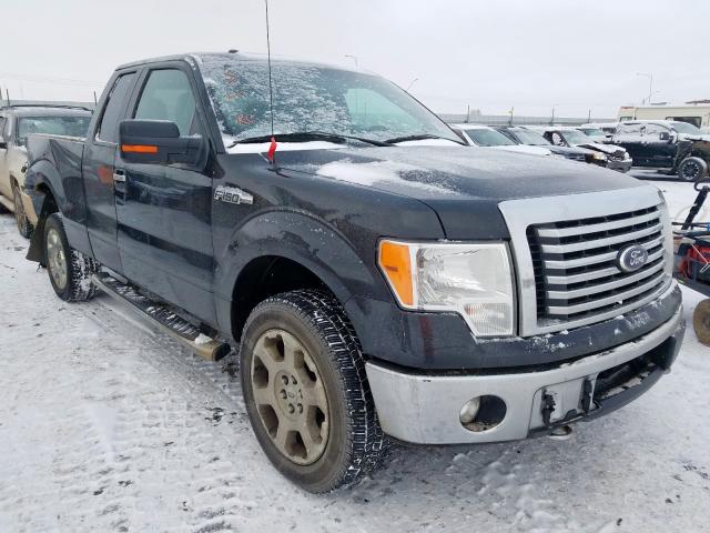 1FTFX1EF1DKF55106 - 2013 FORD F150 SUPER CAB  photo 1