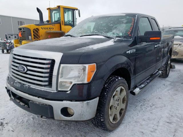 1FTFX1EF1DKF55106 - 2013 FORD F150 SUPER CAB  photo 2