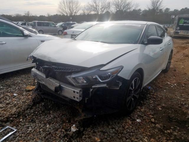 1N4AA6AP3GC418941 - 2016 NISSAN MAXIMA 3.5S  photo 2