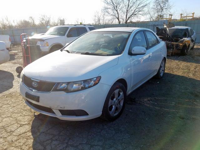 KNAFU4A27A5058016 - 2010 KIA FORTE EX  photo 2