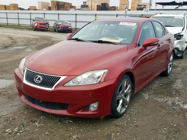 JTHBK262395105265 - 2009 LEXUS IS 250  photo 2