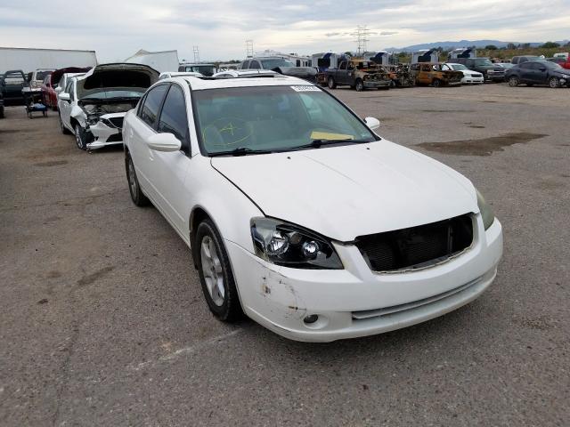 1N4BL11D76C228095 - 2006 NISSAN ALTIMA SE  photo 1