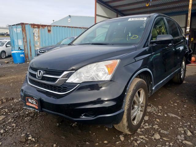 5J6RE3H75BL030991 - 2011 HONDA CR-V EXL  photo 2