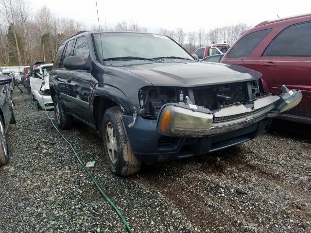 1GNDS13SX52183389 - 2005 CHEVROLET TRAILBLAZER LS  photo 1