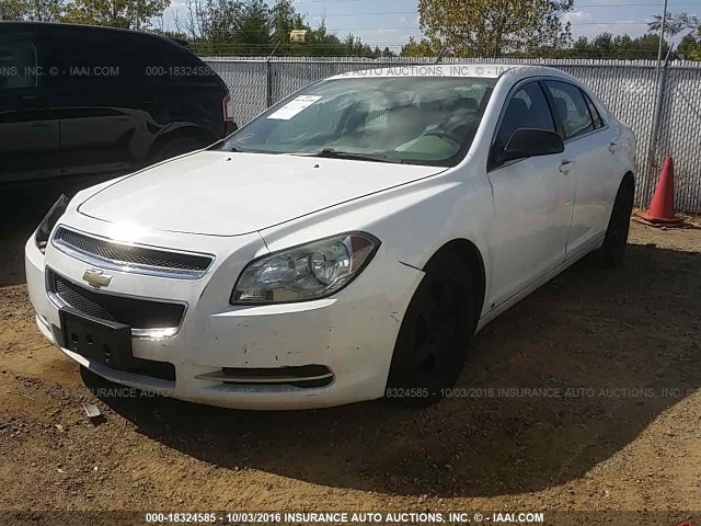 1G1ZG57B89F242688 - 2009 CHEVROLET MALIBU LS 白色 照片 2