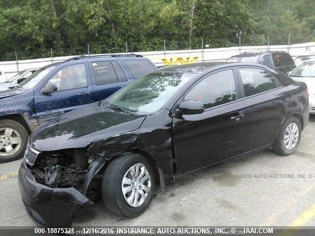 KNAFU4A22C5589241 - 2012 KIA FORTE EX BLACK photo 2