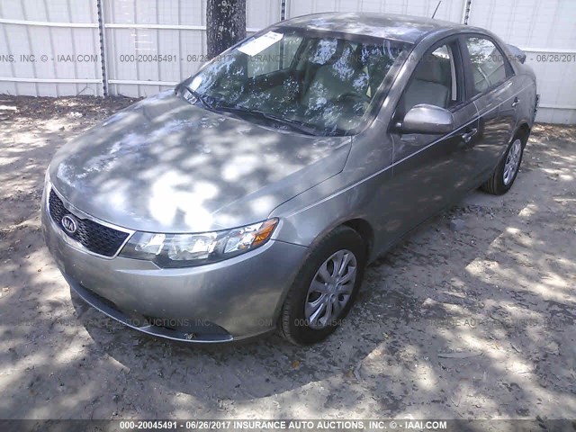 KNAFU4A24C5604287 - 2012 KIA FORTE EX GRAY photo 2